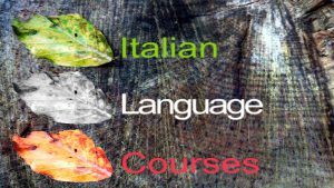 Corsi semestrali di Italiano 2017